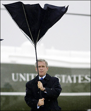 bush-umbrella.jpg